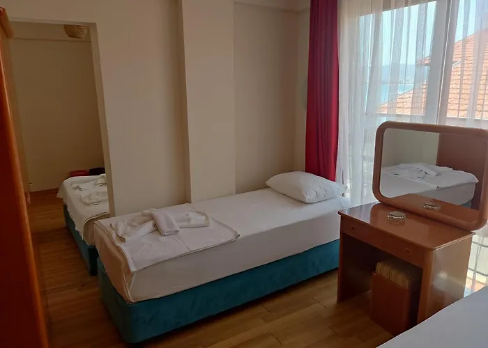 Villa Hotel *