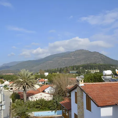 酒店 Villa Hotel *