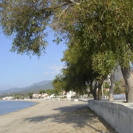 Villa Hotel 酒店 *