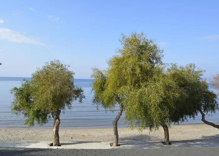 Villa Hotel Hotel Gumuldur